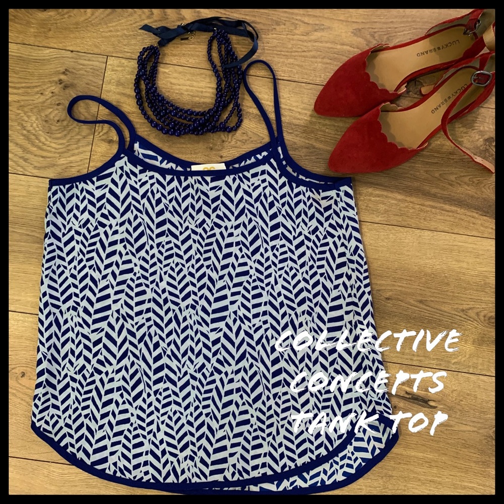 Collective Concepts Cami